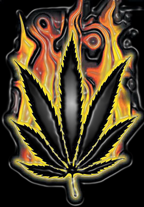 cannabis leaf